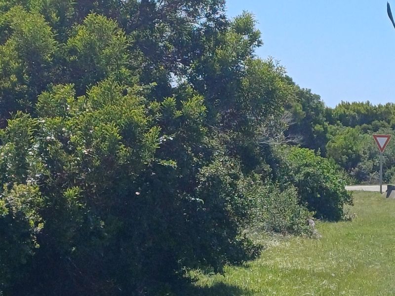 Vacant Land Residential For Sale in St Francis On Sea Phase I - Photo 7