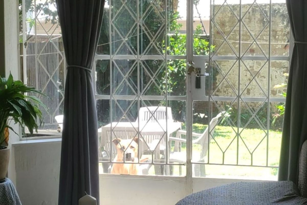 House For Sale in Johannesburg North - Photo 3