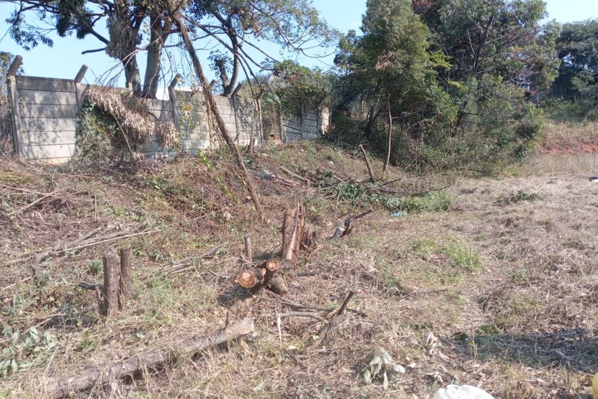 Vacant Land Residential For Sale in Park Rynie - Photo 4