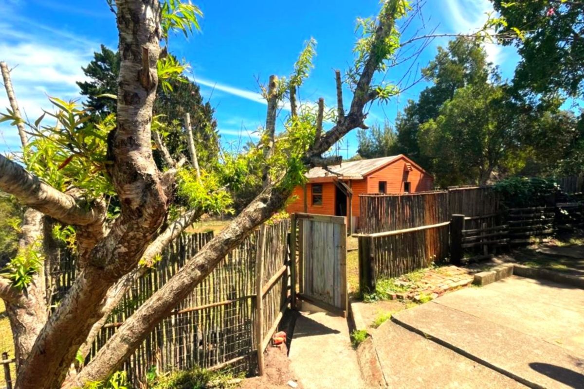 Farm For Sale in Sedgefield Rural - Photo 5