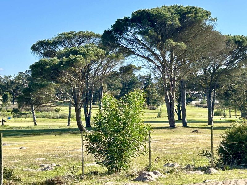 Vacant Land Residential For Sale in Theronville - Photo 5