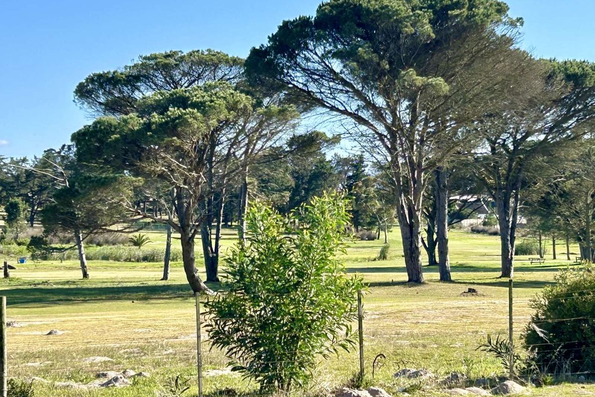 Vacant Land Residential For Sale in Theronville - Photo 5