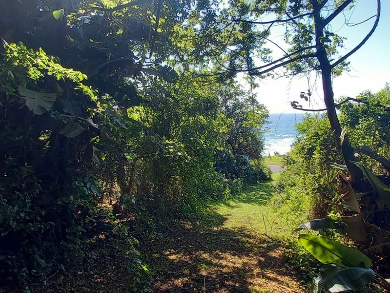 Vacant Land Residential For Sale in Tinley Manor - Photo 6