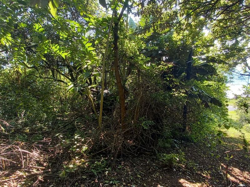 Vacant Land Residential For Sale in Tinley Manor - Photo 4