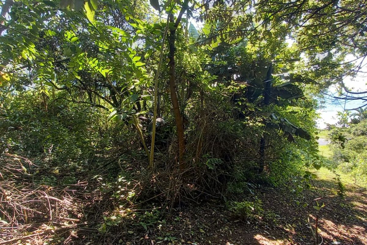 Vacant Land Residential For Sale in Tinley Manor - Photo 4