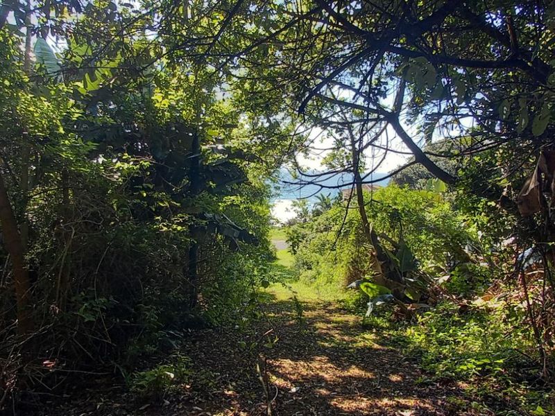 Vacant Land Residential For Sale in Tinley Manor - Photo 3