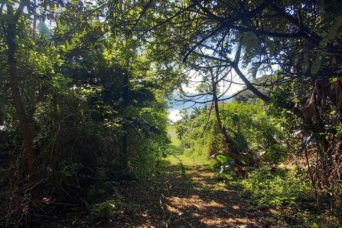 Vacant Land Residential For Sale in Tinley Manor - Photo 3