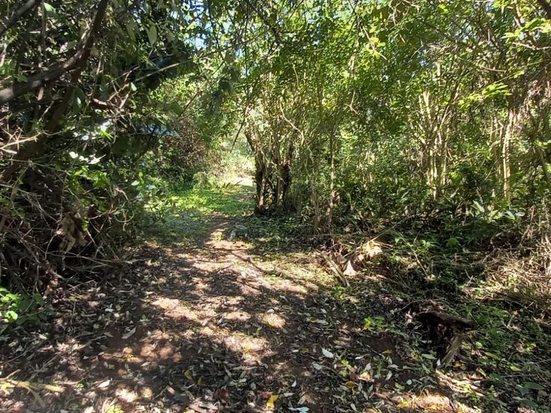 Vacant Land Residential For Sale in Tinley Manor - Photo 5