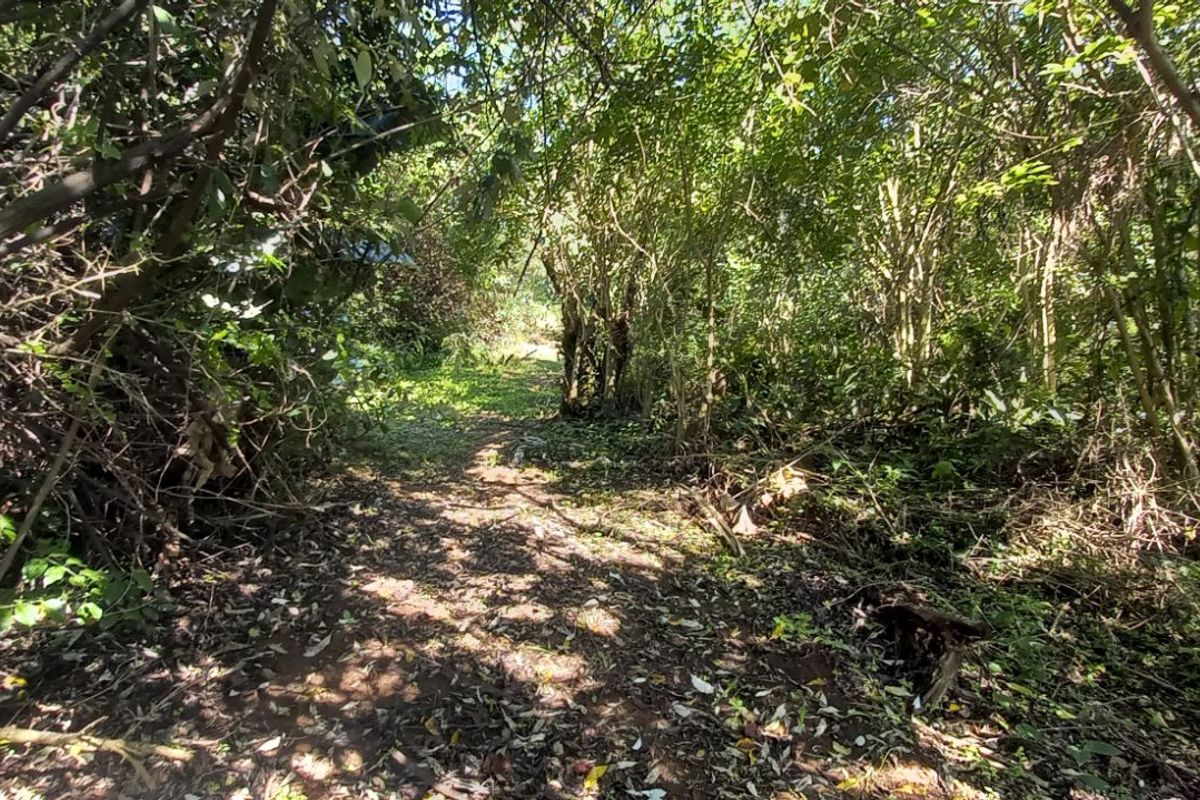 Vacant Land Residential For Sale in Tinley Manor - Photo 5