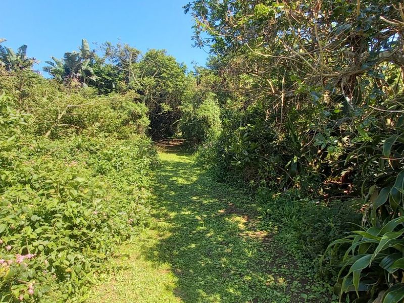 Vacant Land Residential For Sale in Tinley Manor - Photo 8