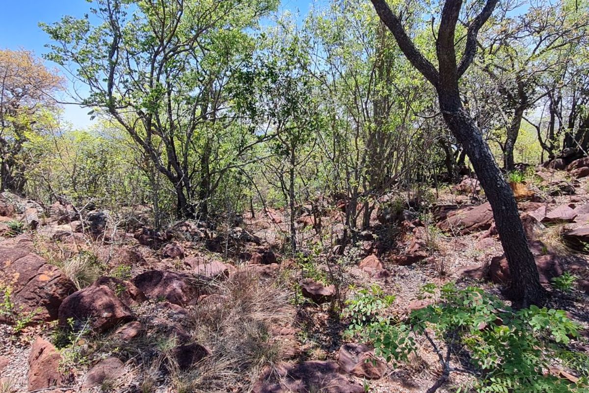 Farm For Sale in Modimolle Rural - Photo 3