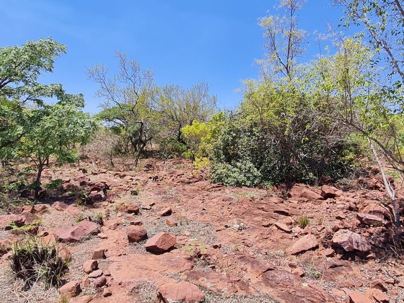 Farm For Sale in Modimolle Rural - Photo 6