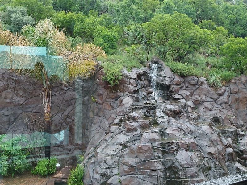 House For Sale in Naauwpoort - Photo 4