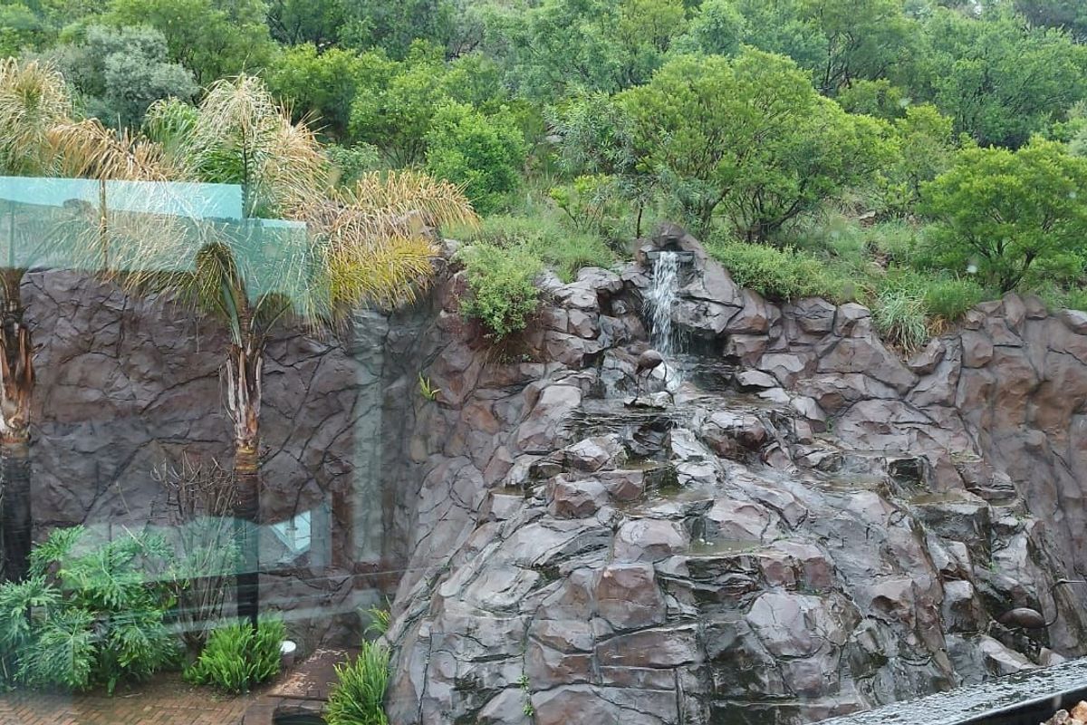 House For Sale in Naauwpoort - Photo 4