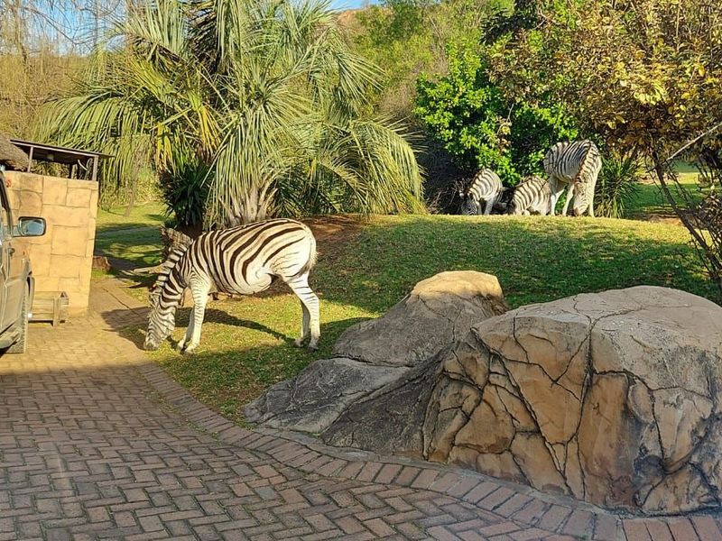 House For Sale in Naauwpoort - Photo 10