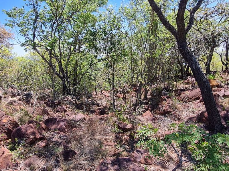 Farm For Sale in Modimolle Rural - Photo 3