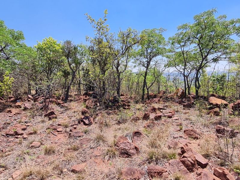 Farm For Sale in Modimolle Rural - Photo 5