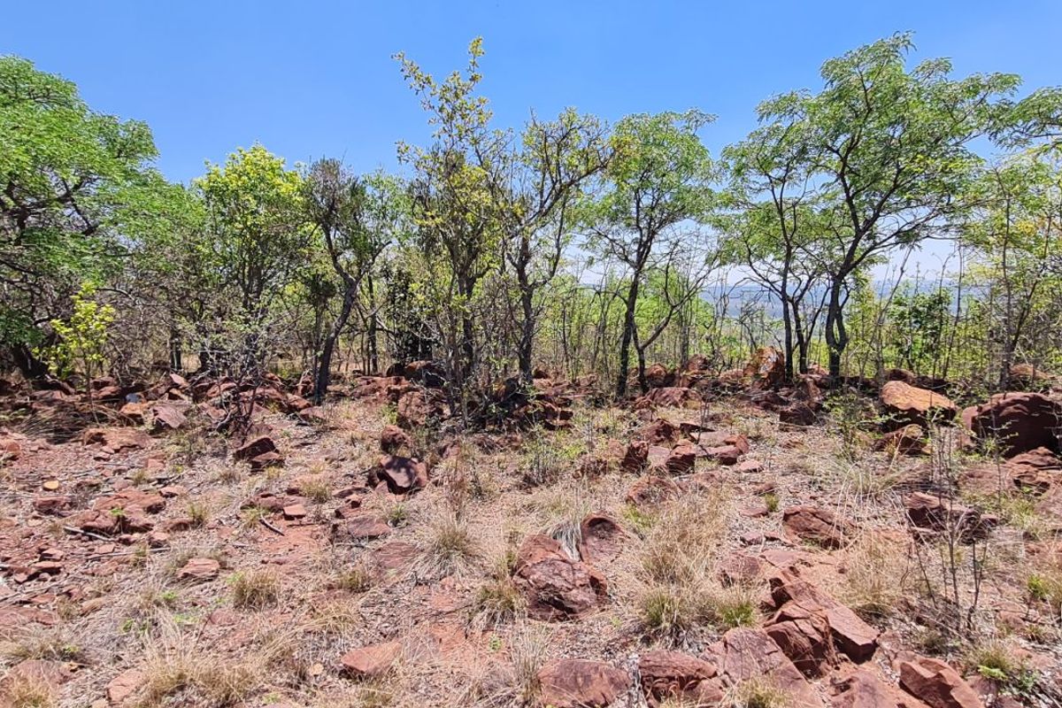 Farm For Sale in Modimolle Rural - Photo 5