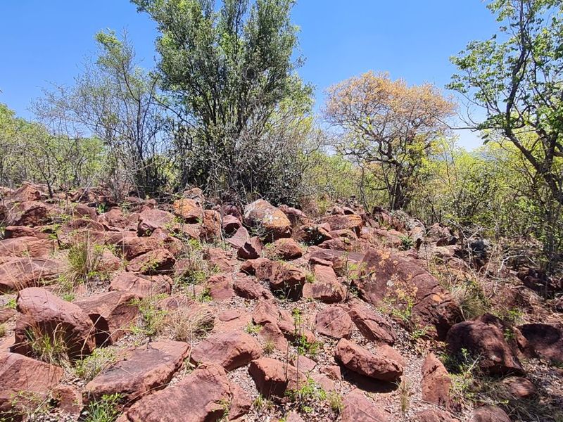 Farm For Sale in Modimolle Rural - Photo 4