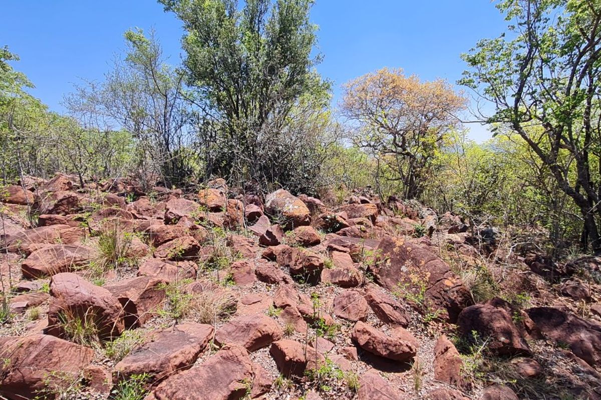 Farm For Sale in Modimolle Rural - Photo 4