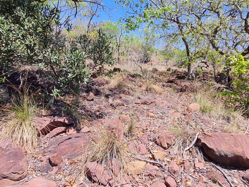 Farm For Sale in Modimolle Rural - Photo 7