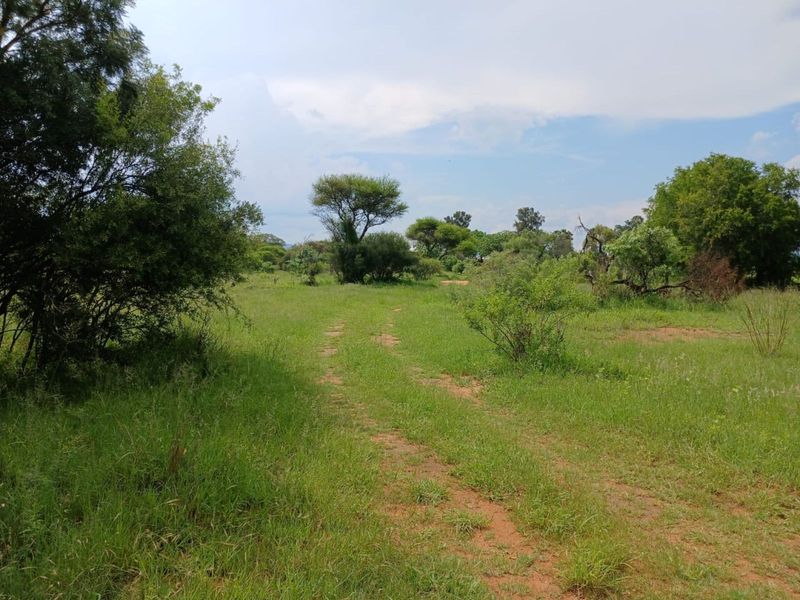 Farm For Sale in Mookgopong Rural - Photo 2