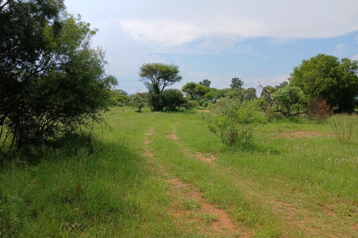 Farm For Sale in Mookgopong Rural - Photo 2