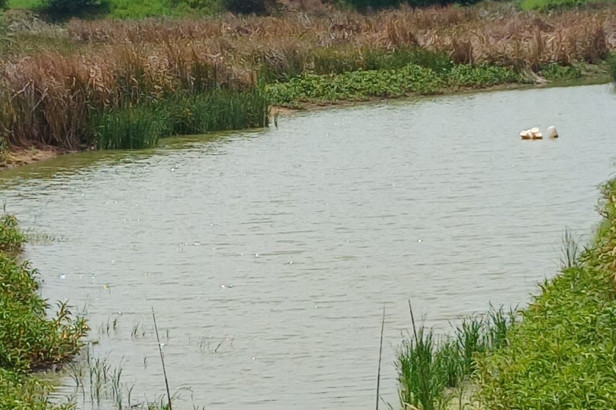 Farm For Sale in Mookgopong Rural - Photo 3