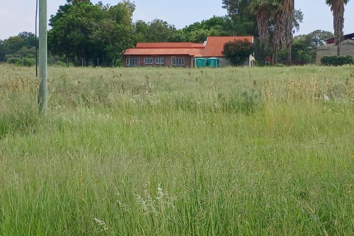 Farm For Sale in Mookgopong Rural - Photo 4