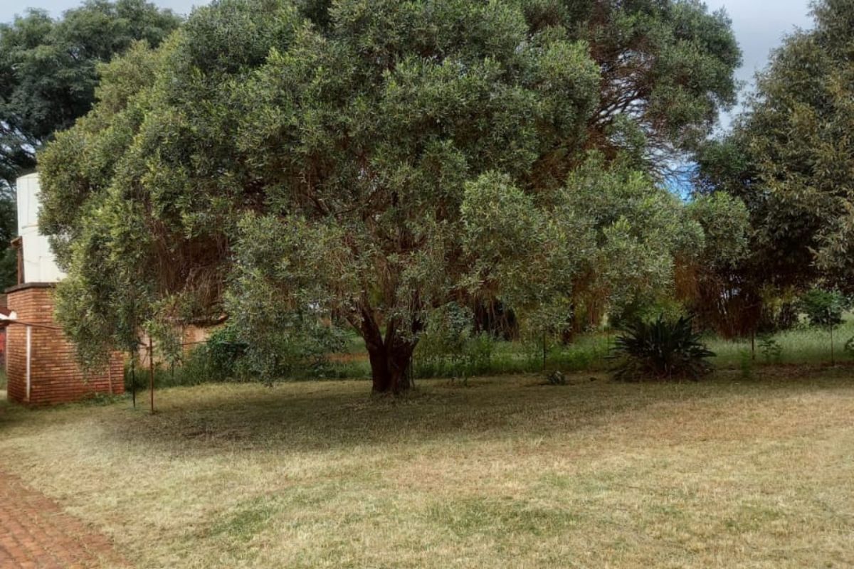 House For Sale in Laersdrif - Photo 2