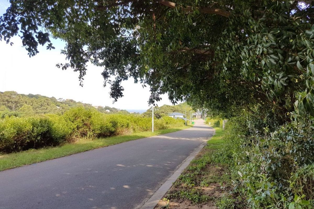 Vacant Land Residential For Sale in New Salt Rock City - Photo 4