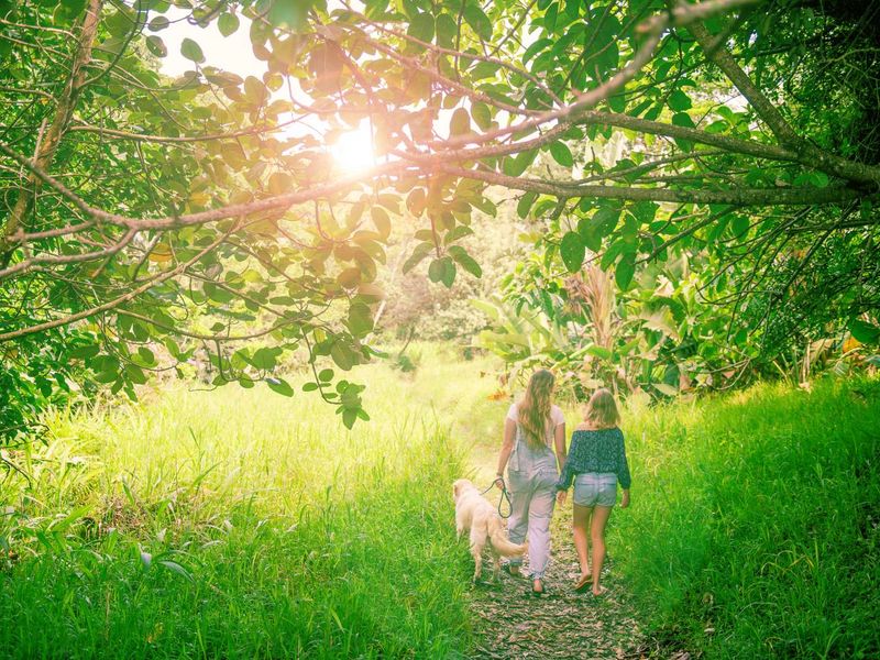 Vacant Land Residential For Sale in New Salt Rock City - Photo 7