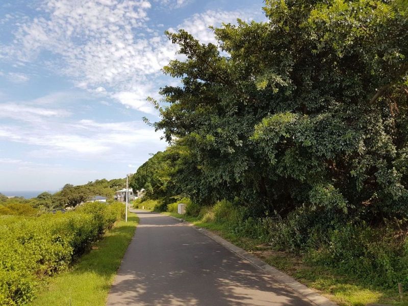 Vacant Land Residential For Sale in New Salt Rock City - Photo 3