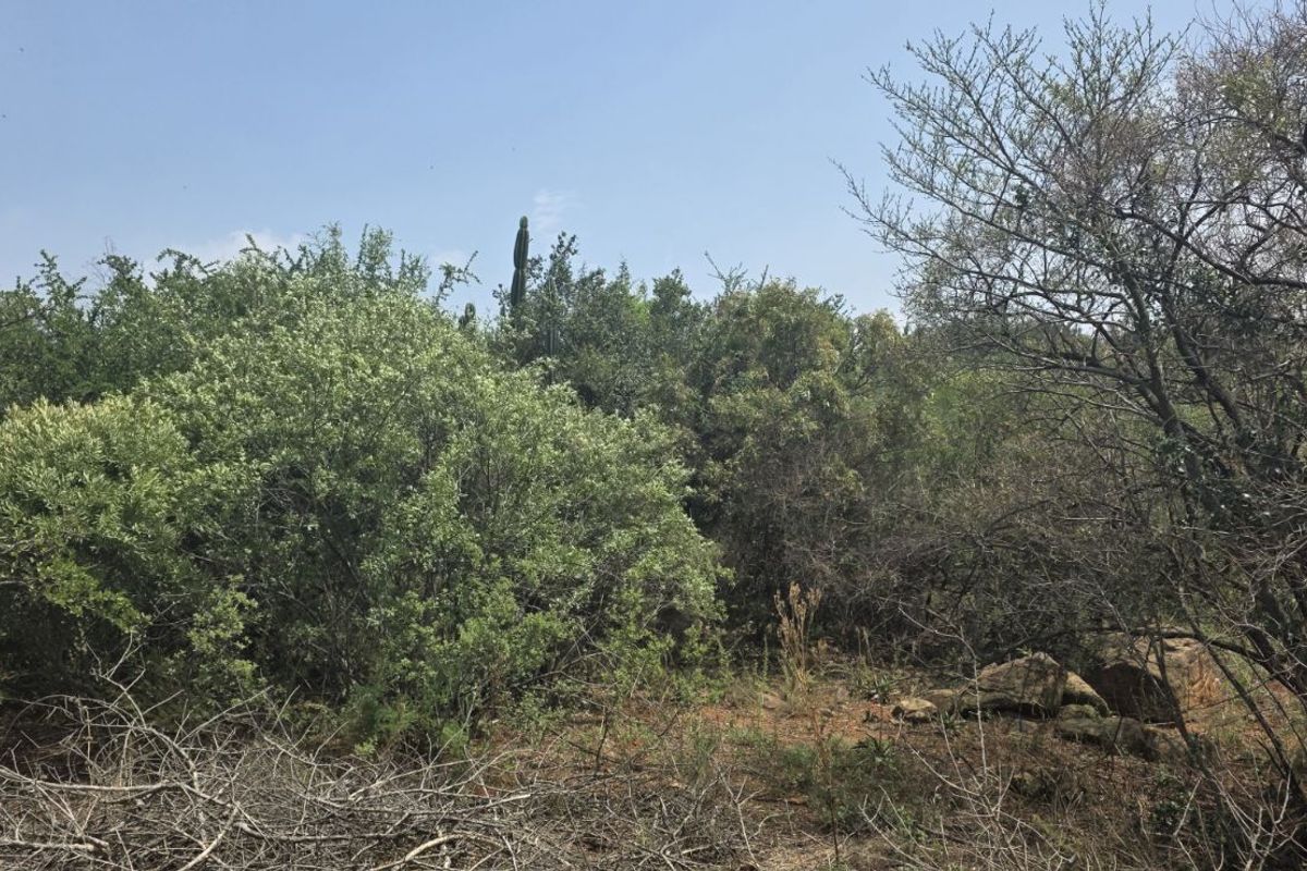 Vacant Land Residential For Sale in Vaal Marina Central - Photo 5