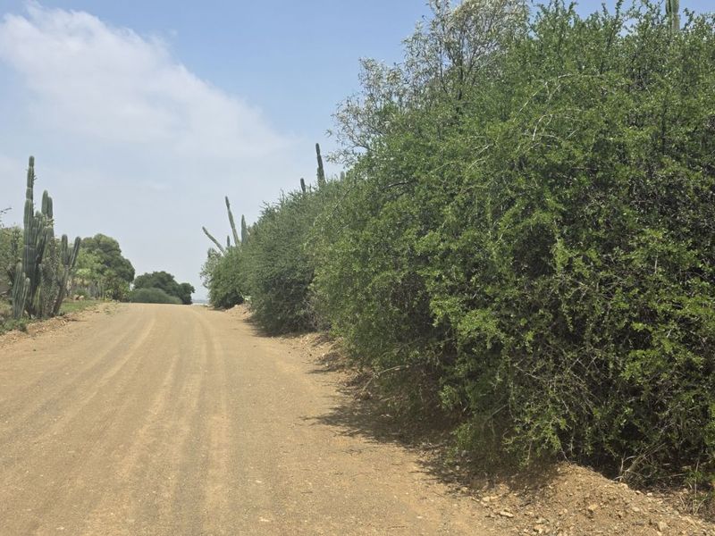 Vacant Land Residential For Sale in Vaal Marina Central - Photo 2