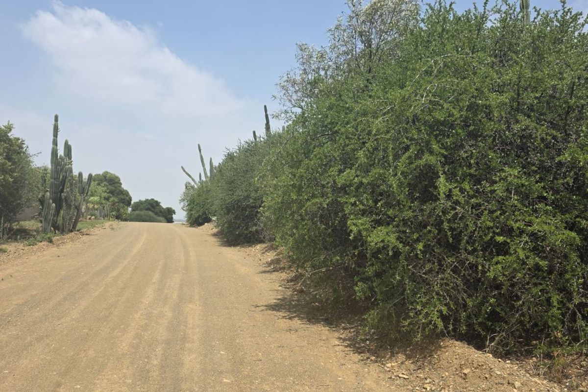 Vacant Land Residential For Sale in Vaal Marina Central - Photo 2