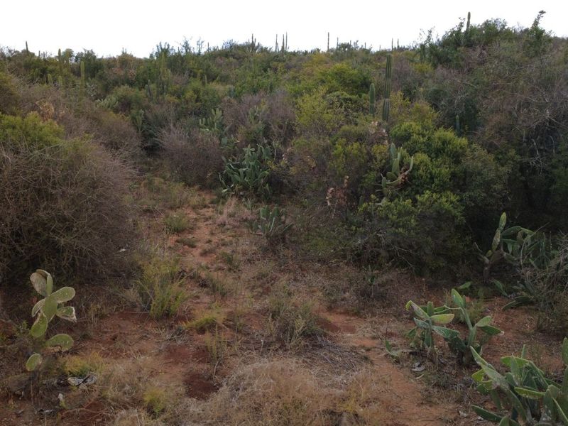 Vacant Land Residential For Sale in Vaal Marina Central - Photo 3