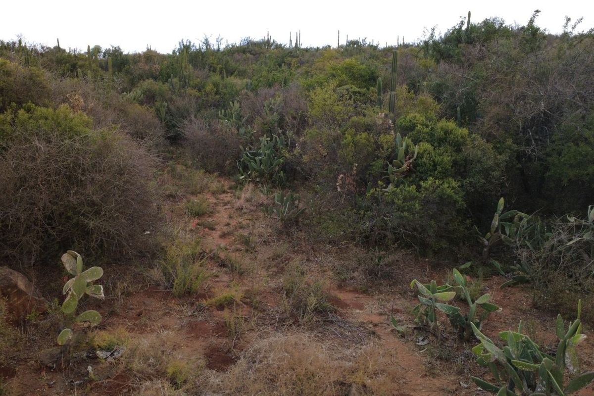 Vacant Land Residential For Sale in Vaal Marina Central - Photo 3