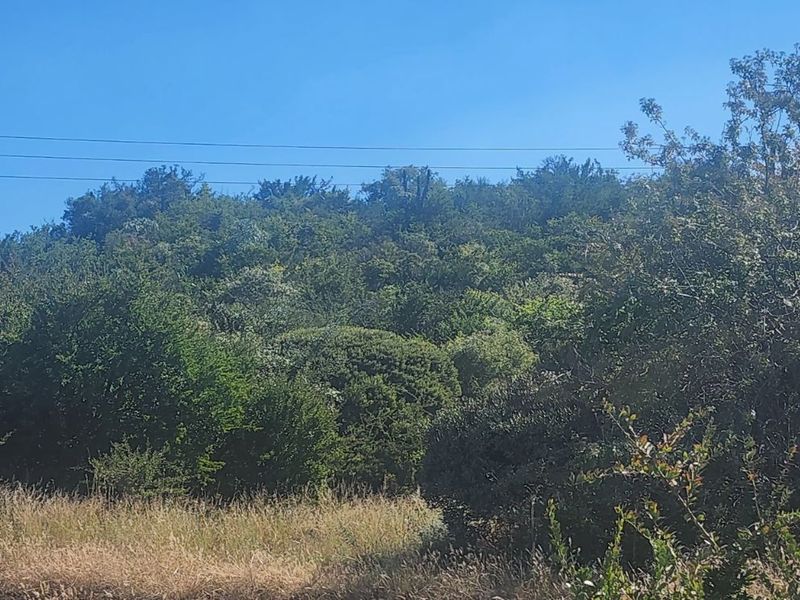 Vacant Land Residential For Sale in Vaal Marina Central - Photo 4