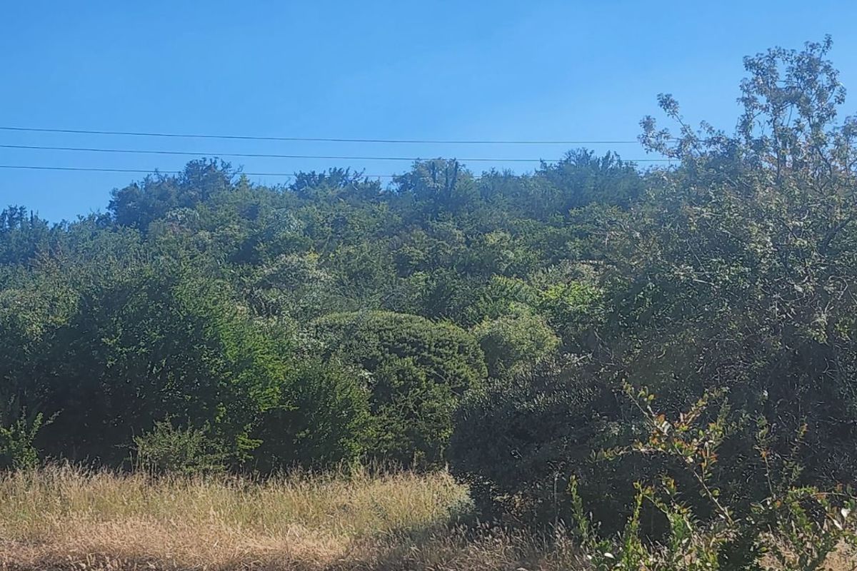 Vacant Land Residential For Sale in Vaal Marina Central - Photo 4