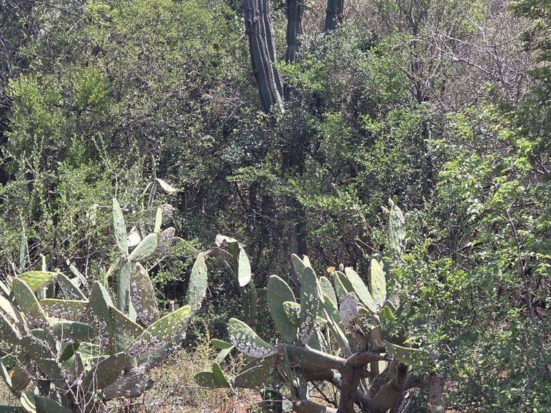 Vacant Land Residential For Sale in Vaal Marina Central - Photo 6