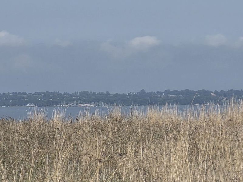 Vacant Land Residential For Sale in Vaal Marina Central - Photo 6