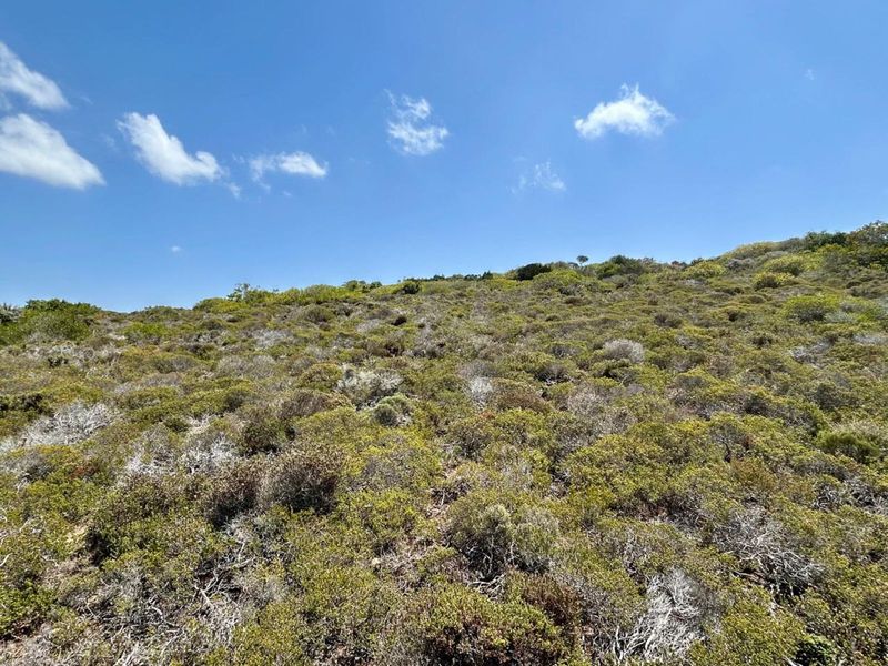 Vacant Land Residential For Sale in Dana Bay - Photo 4