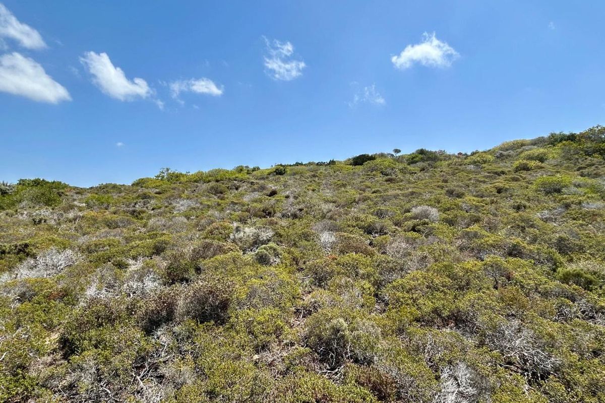 Vacant Land Residential For Sale in Dana Bay - Photo 4