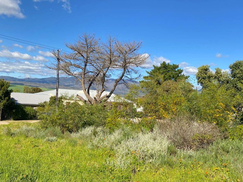 Vacant Land Residential For Sale in Bot River Avenues - Photo 5