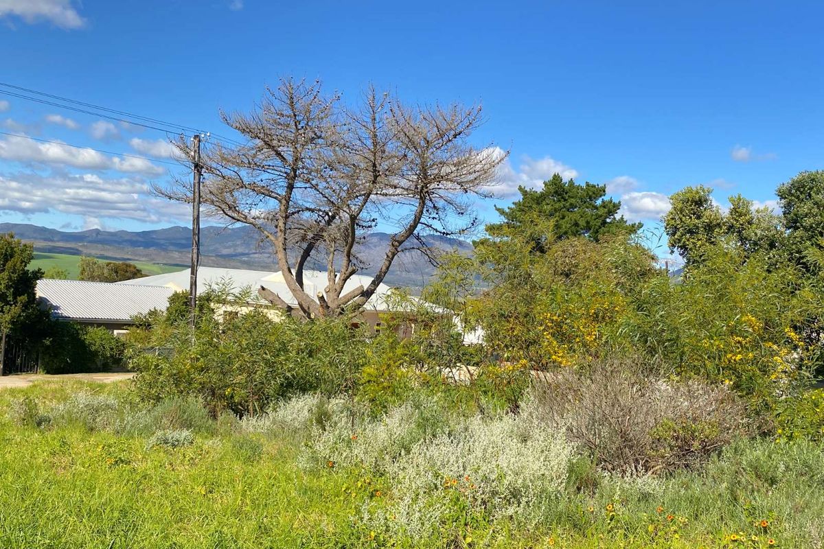 Vacant Land Residential For Sale in Bot River Avenues - Photo 5