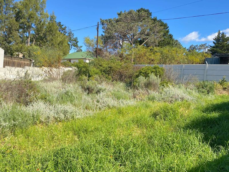 Vacant Land Residential For Sale in Bot River Avenues - Photo 2