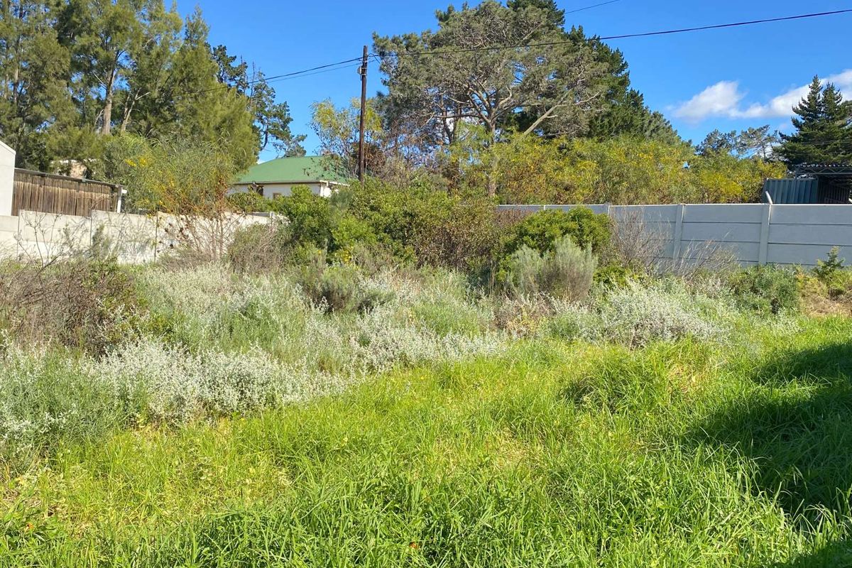 Vacant Land Residential For Sale in Bot River Avenues - Photo 2