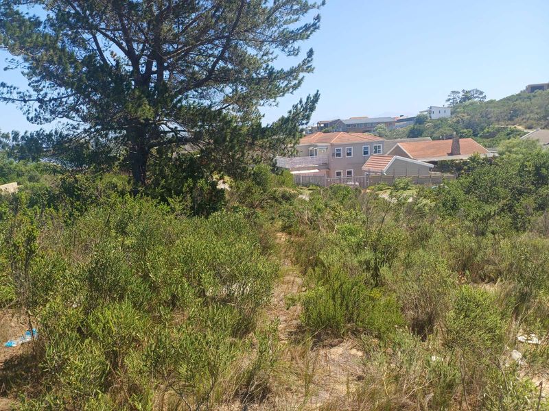 Vacant Land Residential For Sale in Zeegezicht - Photo 5