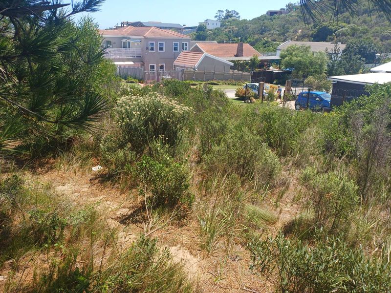 Vacant Land Residential For Sale in Zeegezicht - Photo 4